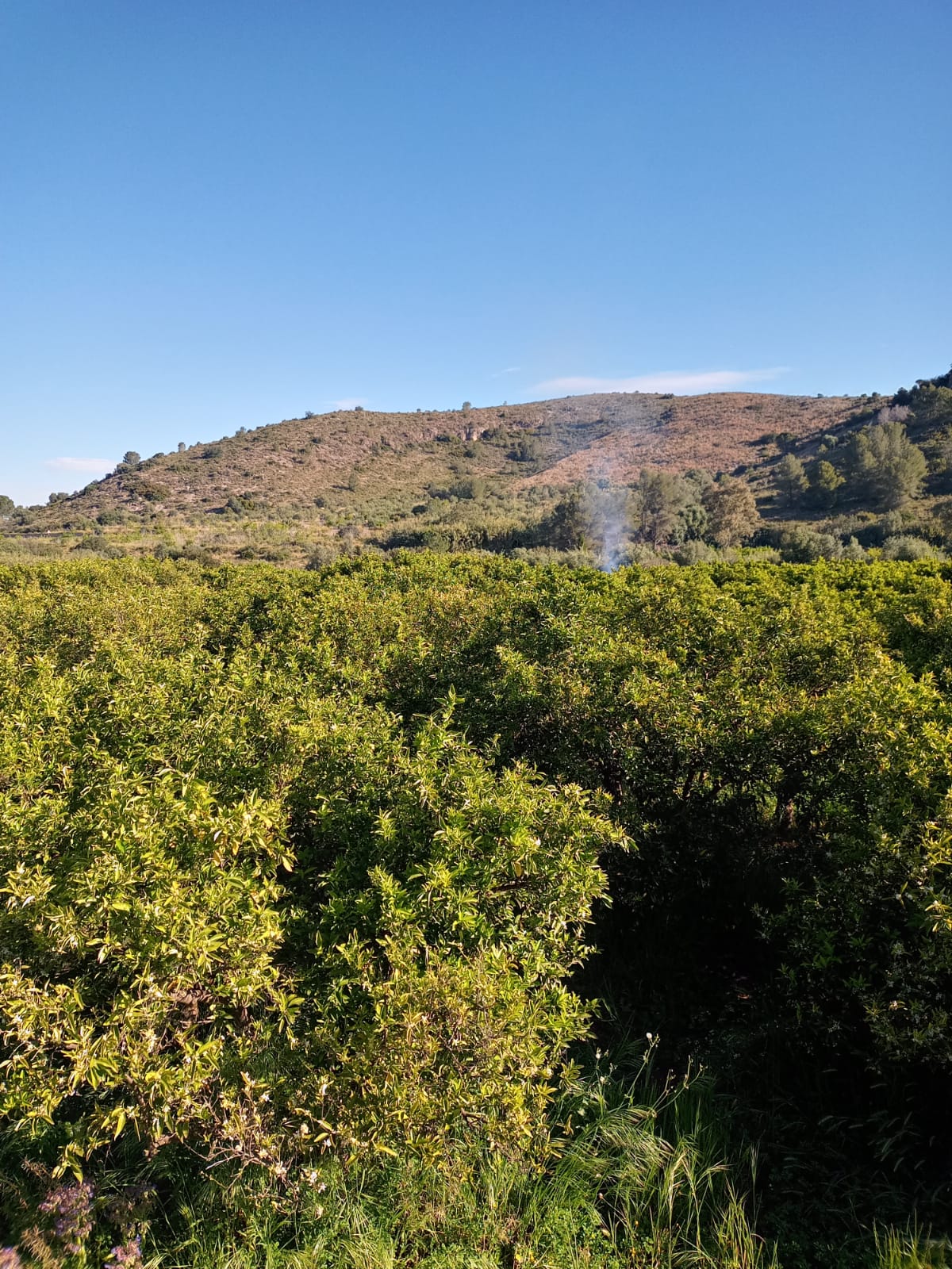 IMG-20260506-WA0004