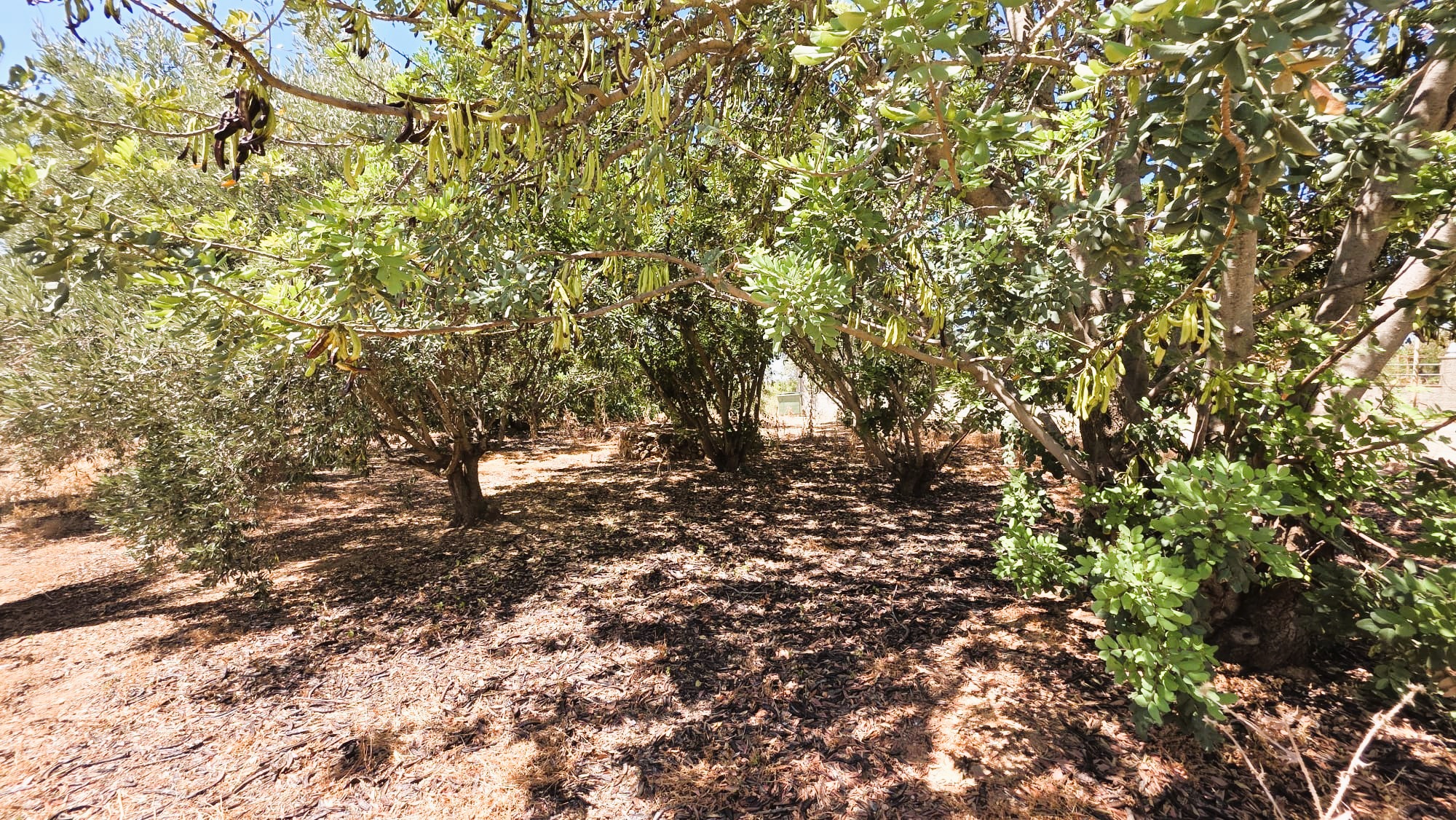 IMG-20260707-WA0097